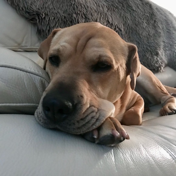 LIVE POP UP SHOWS! 🫶🏻🫶🏻 - Picture 7 of 8